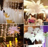 Wholesale Ostrich Feather Plumes for Wedding Centerpiece Table Party Desktop decoration beautiful feathers DIY Party Decorative inch LXL386 A