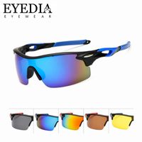 Wholesale New Brand Vintage Fashion High End Men Polarized Sport Sunglasses Blue Mirror Windproof Skiing Sun Glasses For Unisex L1010KP