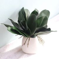 Wholesale Real Touch Phalaenopsis Leaf Artificial Plant Leaf Decorative Flowers Auxiliary Material Flower Decoration Orchid Leaves