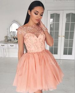 2019 Glamour Sheer Homecoming Robe Une Ligne Manches Longues Court Juniors Sweet 15 Graduation Cocktail Robe De Soirée Plus La Taille Sur Mesure