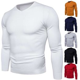 Casual trui voor heren voor heren, voorjaarskleding voor heren, Koreaanse versie, slanke fit herenvestige pullover, v-hals gebreide trui, jas, heren trui trend