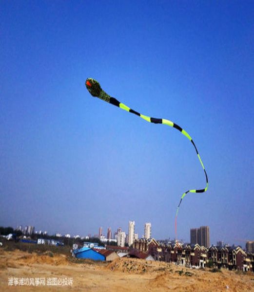 2017 New3d 40 mètres cascadeuse Snake Power Sport Kite Kite Outdoor Toy 2456288