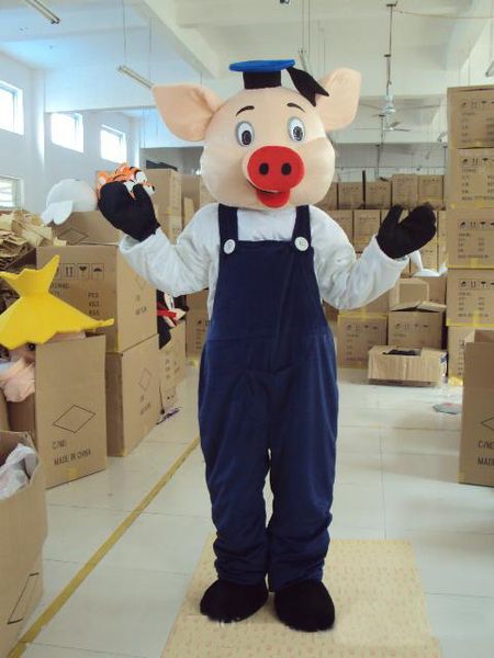 2018 Discount vente d'usine Belle poupée de dessin animé Dr pig Costume de mascotte Livraison gratuite