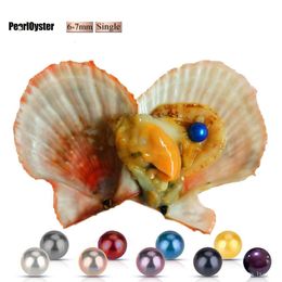 2020 DIY 6-7mm coquille rouge d'eau de mer huître akoya avec perles simples mélangées 25 couleurs perle naturelle de cercle de qualité supérieure dans un emballage sous vide