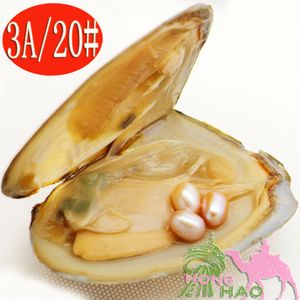 2018 mode-sieraden natuurlijke zoetwaterparels oesters 6-8mm3 #20 Natuurlijke paarse parel invertial oesters vacuüm pakket