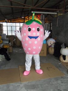 2018 Vente chaude beau costume de mascotte de fruits usine de vêtements de dessin animé mignon personnalisé accessoires personnalisés privés poupées de marche vêtements de poupée