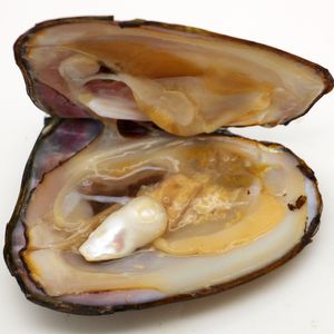 2022 Natuurlijke zoetwater onregelmatige parel natuurlijke kleur persoonlijkheid unieke parels en oester vacu￼mpakket verrassingsgeschenk voor fami