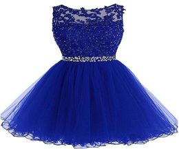 2018 Nieuwe goedkope TULLE Korte Homecoming -jurken voor Juniors Women Plus Size Appliques Graduation Party Prom Formal Jurk BQ523148402