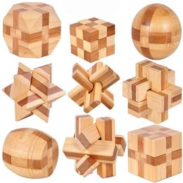 2018 new Classic 3D IQ Wooden Brain Puzzle toys Bamboo Interlocking Puzzles Game Kong Ming lock styles