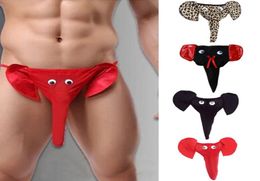 2018 Nuevo Sexy men39s gstrings tangas Elefante Bulge Bolsa Hombres Elástico T Volver Lencería erótica Tanga Male Bulge Bolsa Ropa interior1695212