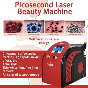 Machine Laser pour détatouage, commutateur Q Picolaser 1064nm 532nm 755nm Pico tatouage, en vente