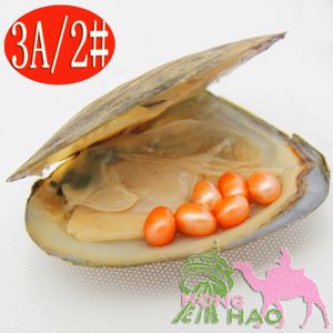 2018 vacuüm verpakte zoetwater parel oesters oesters met 6 stksaaa rang 6-8mm # 2 oranje parels