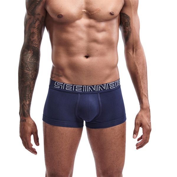 2019 flambant neuf hommes boxeurs tronc coton Spandex Sexy sous-vêtements gai Leggings U convexe poche culotte Shorts pour homme