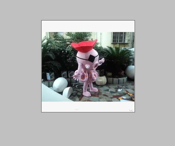 2019 Descuento venta de fábrica Disfraces de mascota de calamar y sepia Ropa de dibujos animados unisex Disfraces de mascota de pulpo