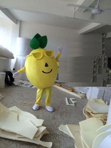 2019 usine nouveaux costumes de mascotte de fruits et légumes tenues complètes citrouille costume d'arbre de Noël taille des enfants adultes fantaisie partie d'Halloween