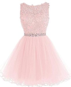 2019 Nieuwe Goedkope Tule Korte Prom Jurken Plus Size Applicaties Mini Afstuderen Formele Avond Homecoming Party Gown AL12239C