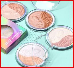 2019 Nieuwste gezichtsmake -up CMAADU Highlighter Brights Shimmer Face Powder Pow Poeder Palet Base Illuminator Gezicht Contour Bronzer 4 kleuren1157079