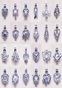 2019 S925 Collier en argent sterling cages de liket pelant pendant set 24 styles collier diy pour femmes charme bijoux de mode Gift8106361