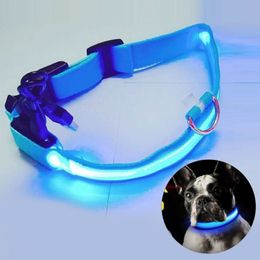 2019 USB charge LED collier de chien Anti-perte éviter collier d'accident de voiture pour chiens chiots conduit LED fournitures produits pour animaux de compagnie S M L XL287z