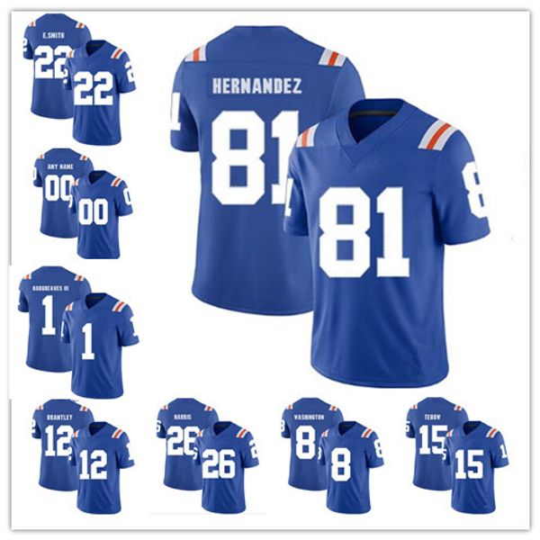 2019 Vintage NCAA Florida Gators Aaron Hernandez 22 Chris Steele 26 John Hins 43 Nicolas Sutton Maßgeschneidertes College-Football-Trikot