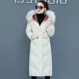 2019 Groothandel Mode Dames Winterjassen Nieuwe Dames Down Jassen Katoenen Losmakende Dikke Kap Zuid-Korea Versie van Plover Katoen