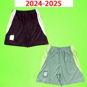 24 25 MeXiCO Voetbalshort CHICHARITO 2024 2025 Nationaal team Voetbalbroek Heren Kit Thuis Uit Copa America Mexique CHICHARITO R.MARQUEZ H.LOZANO E. ALVAREZ G.DOS SANTOS