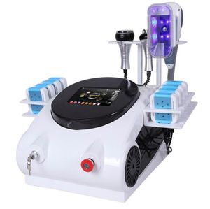 Factory Direct Sales Cryolipolyse Fat Freeze Single Cryo Gandage Corps Slimming Lipo Laser Salon Utiliser la machine de beauté avec CE