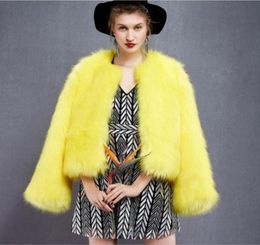 2020 Nouveau Européen et Américain Nouvelles Modes de mode Coats de fourrure FORT FORT FUR Long Women039 Imitation Fur Coats3105805