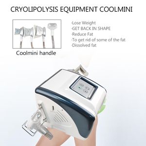 Draagbare Cryo Machine met 4 Handgrepen Body Slimming Fat Freeze CoolSculpt-apparatuur voor Thuisgebruik Salon