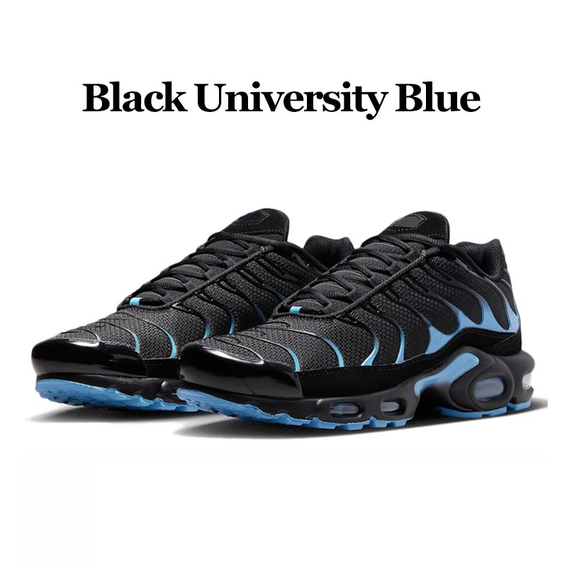 bleu universitaire noir