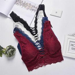 2020 Vrouwen Intimates Kant Push-Up Bh Gewatteerde Vest Bralette Crop Tops Ondergoed Blauw Zwart Wit Blue12618