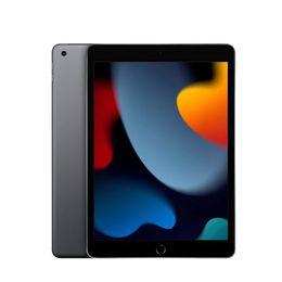 2021 Apple iPad 9e generatie 10,2 inch Wi-Fi + 4G mobiel 256 GB IOS Touch ID vernieuwd 95% NIEUWE tablet