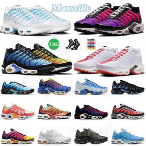 TN Plus TNS Chaussures de course bas pour bases