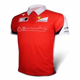 2021 F1 Racing Suit Auto Logo Team Uniform T-Shirt Off-Road Polo Shirt Korte mouwen Sneldrogende teamuniform Large Size Car Fan C221V