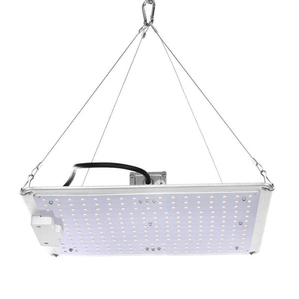 2021 Grow Light Étanche Full Spectrum Grow Lamp Plant Lights avec pour la culture hydroponique de semis d'intérieur de légumes et de fleurs en serre