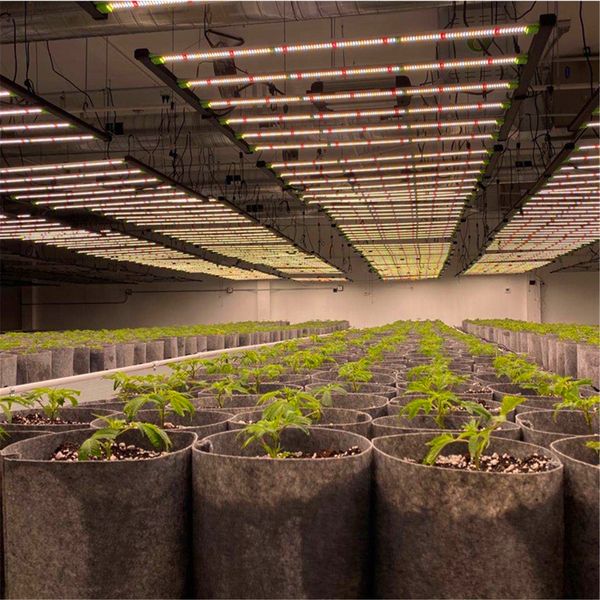 2021 Luces de cultivo LED que utilizan el nuevo Sundopt LM281b para plantas de interior que crecen en etapas de flores Semillas Germinación vegetativa