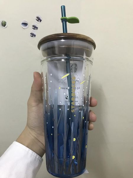 Tasses en édition limitée avec couvercle en bois Starry Sky Firefly Glass Straw Cup Grande capacité