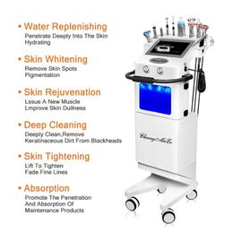 2022 10in1 SPA Machine faciale Hydro Dermabrasion Resurfaçage de la peau Hydrofacial Face Clean Treatment RF BIO Microcurrent Hydra Microdermabrasion