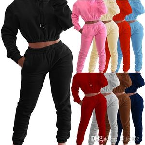 2022 Otoño Invierno mujeres chándales de felpa chándales con capucha Crop Top Jogging Suit pantalones de chándal con capucha conjunto de dos piezas