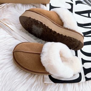 2022 Designer Funkette Chestnut Disquette Antelope Boots pantoffels Australië Platform Winter Snowboot Slip-on silhouet en zachte schapenvacht