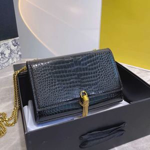 2022 Designer Trend Chain Messenger Bag Crocodile Patroon dames one-shoulder mode allemaal