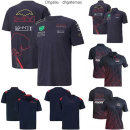 2022 F1 RedBulls Polo T-shirt Formule 1 T-shirts Pilote de course Maillot à séchage rapide Été Casual Hommes Femmes Marque T Shirt Tops