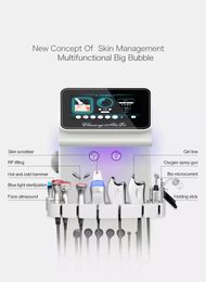 2022 Hot Sales Face Care 9 in 1 multifunctionele huidverzorging water zuurstof schoonheid gezichtsbeheer machine