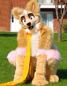 2022 Husky Dog Fox Moyenne Long Fur Mascot Costume Walking Halloween Christmas et Activity Activity Suit Play
