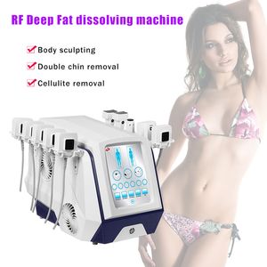 Nieuw design afslanke beeldhouwmachine high-end RF Deep Fat oplossende machine