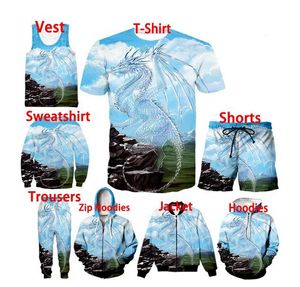 Sweat-shirt/T-shirt/sweat à capuche/gilet/pantalon/short imprimé Dragon en 3D pour hommes/femmes, à la mode, motif Cool, GG03, 2022