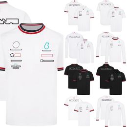 Nieuwe F1 T-shirt Formule 1 Team Racing Poloshirts T-shirt Zomer Heren Race Sport Revers Sneldrogende T-shirts Jersey Dezelfde F1 Shirts