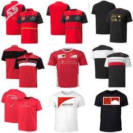 2022 Nieuwe formule Ademend 1 Motorsport F1 T-shirt Racing Team T-shirts Auto-fans Casual Polo Shirt Summer Car SHIRTS PLUS MIZE Custom Custom