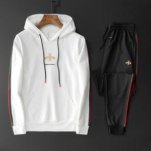 2022 NIEUWE Spring herfst heren pullover capuches tracksuits trekkoord casual 2-delige sets afdrukken met lange mouwen modesports