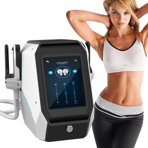 2022 draagbaar vetverbranding lichaam beeldhouwen 2 handle elektromagnetische rf teslaslim ems body sculpt machine